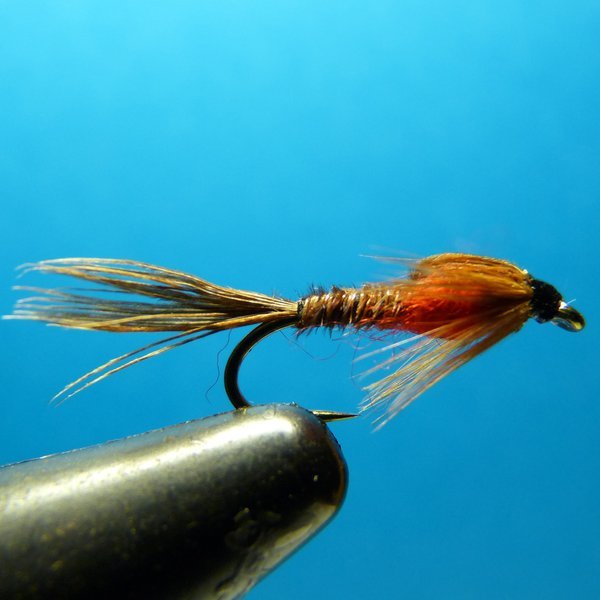 pheasant tail rouge