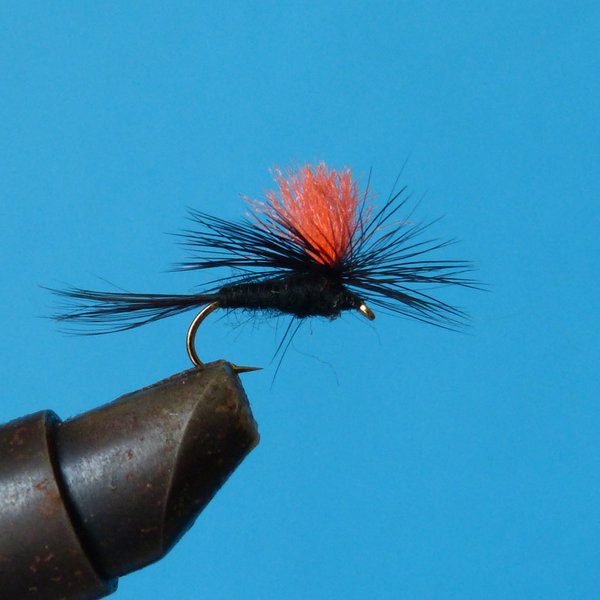 black gnat parachute orange