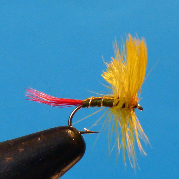 Olive brake mayfly
